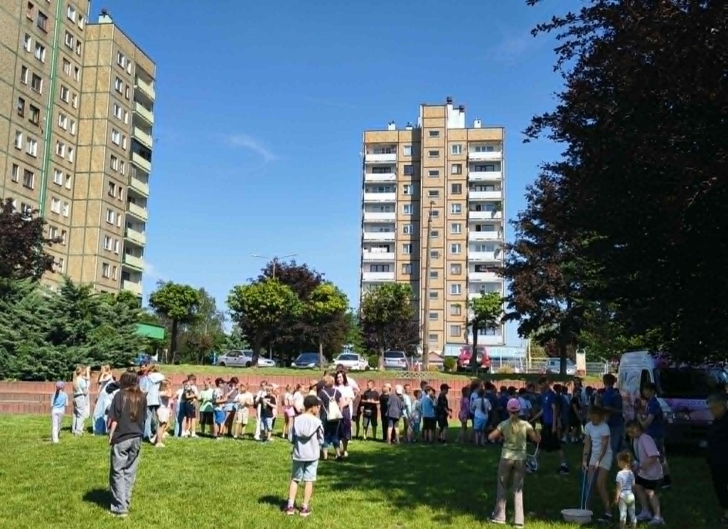 Sieciaki na wakacjach